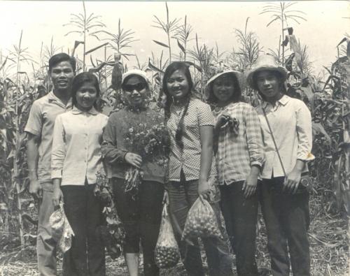 Đ i hái mận ở lecnôi năm 1972