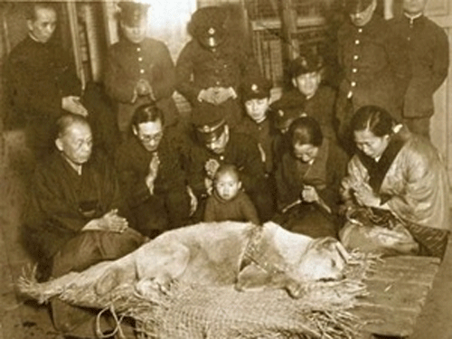 Chú chó Hachiko huyền thoại
