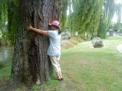 WeepingWillows